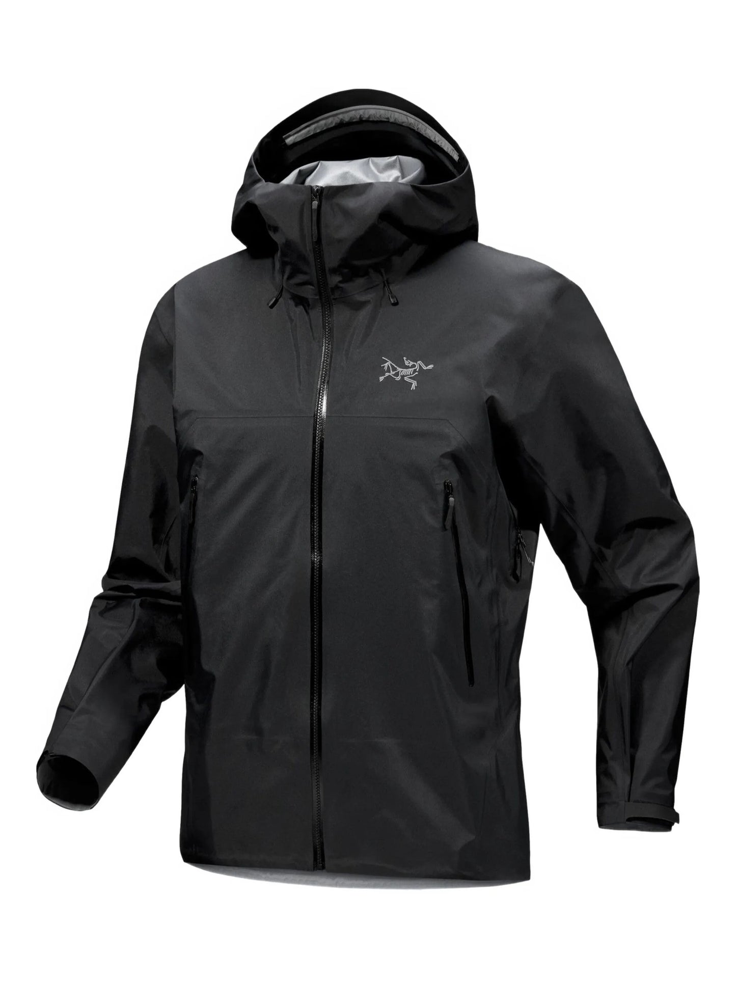 Arc'teryx Beta SL Hooded Jacket